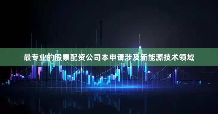 最专业的股票配资公司本申请涉及新能源技术领域