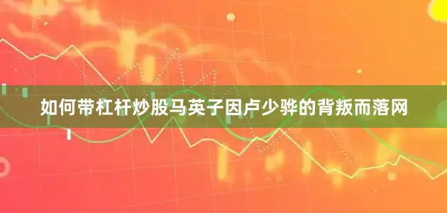 如何带杠杆炒股马英子因卢少骅的背叛而落网