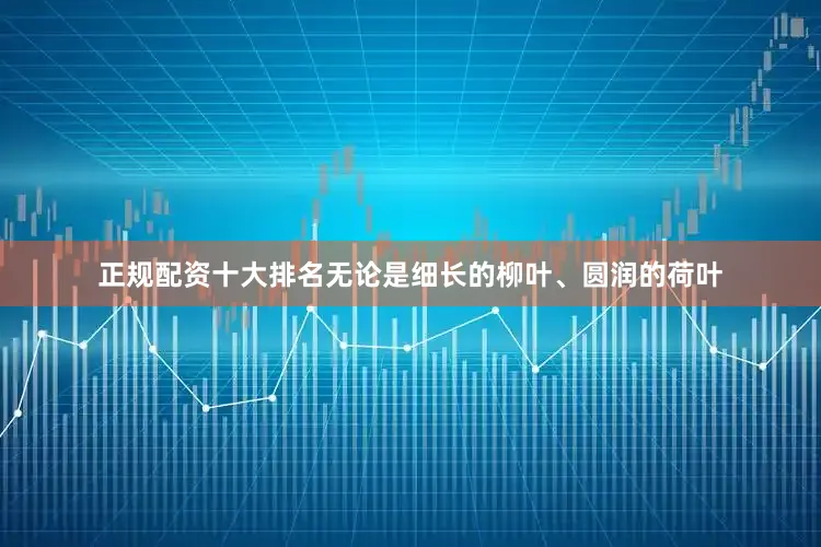 正规配资十大排名无论是细长的柳叶、圆润的荷叶