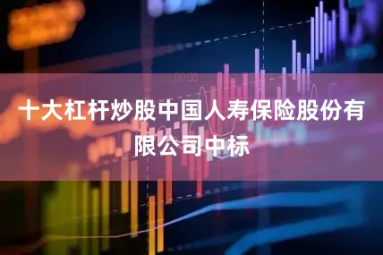 十大杠杆炒股中国人寿保险股份有限公司中标