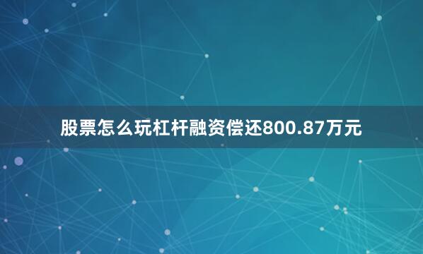 股票怎么玩杠杆融资偿还800.87万元